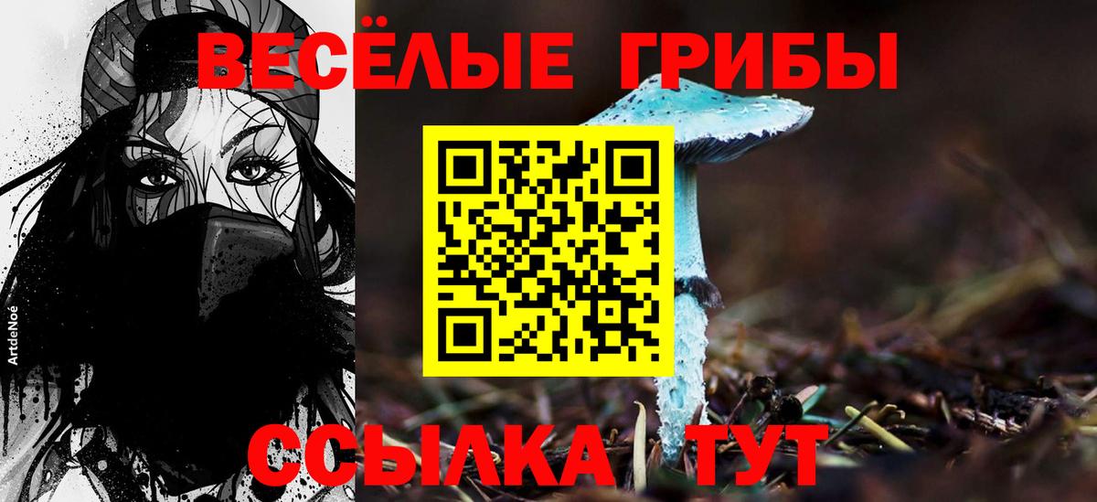 Псилоцибиновые грибы мухоморы  Вход с VPN  Галлюциногенные грибы Psilocybine cubensis  Балтийск 